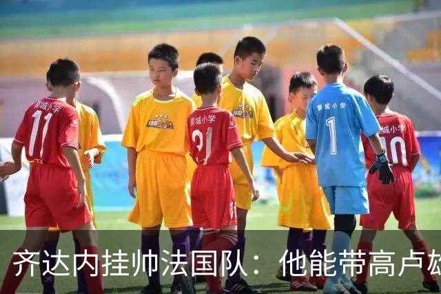 齐达内挂帅法国队：他能带高卢雄鸡重回巅峰吗？八个理由告诉你答案